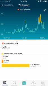 Fitbit - Heart Rate