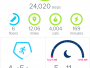 Fitbit Dashboard